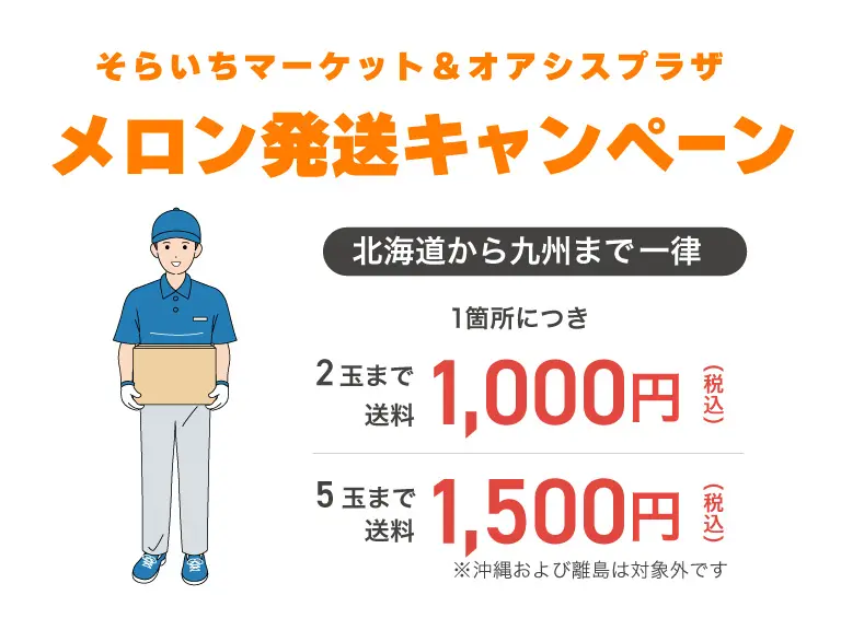 発送cp