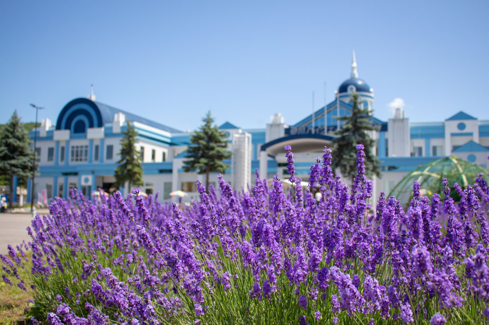 公式 砂川ハイウェイオアシス館 土産 食事 遊び 休憩 北海道砂川市にある砂川 ハイウェイオアシス館は高速からも一般道からも立ち寄れる 楽しく わくわく する場所 北海道土産 産直 レストランがあり 北海道子どもの国の玄関口です